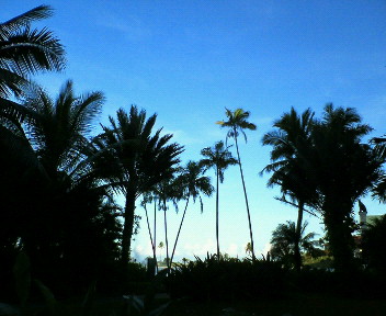 f0073848_21323119.jpg