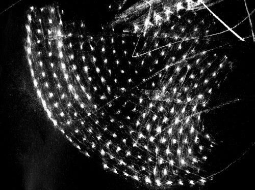 c0091055_21111481.jpg