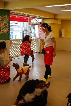f0050955_2232425.jpg