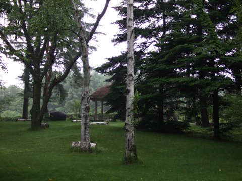 c0107861_1729035.jpg