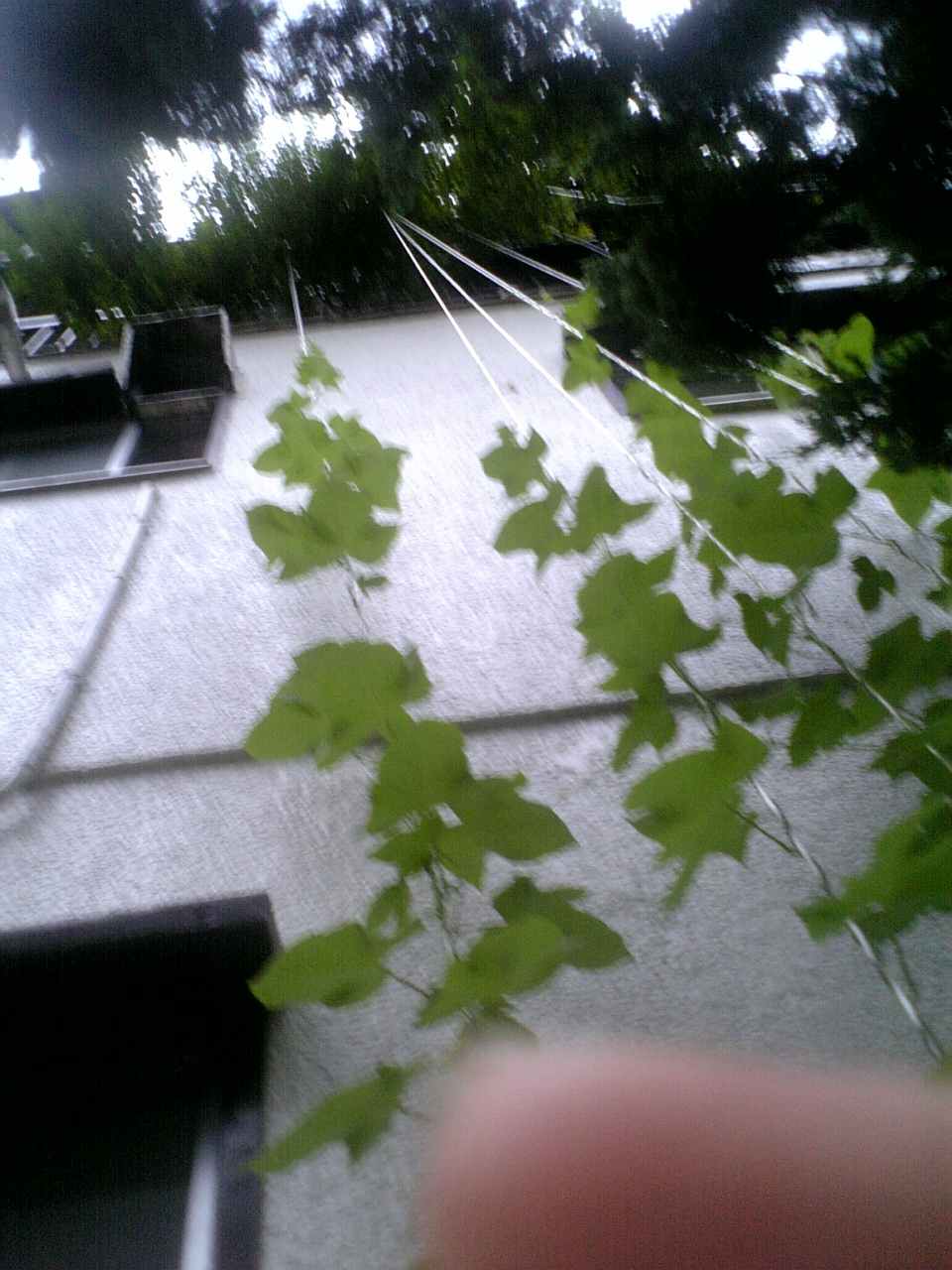 d0004574_236553.jpg