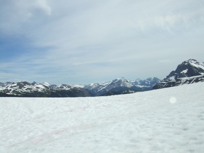 a0047577_1413285.jpg