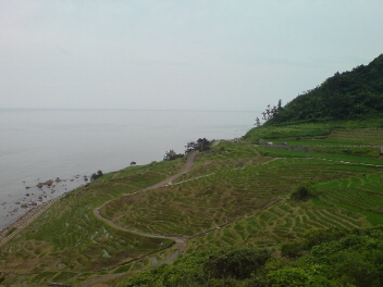 f0137483_2345587.jpg