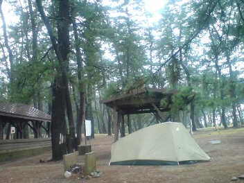 f0137483_238248.jpg