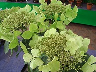 c0105785_1974930.jpg