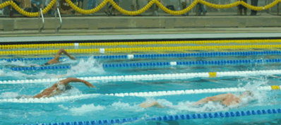a0092288_14333685.gif