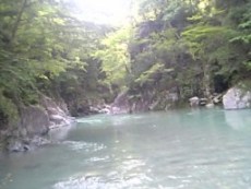b0078288_2395969.jpg