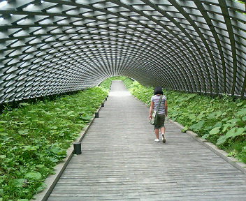 c0005988_21371647.jpg