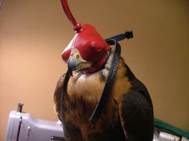 d0083692_8422355.jpg
