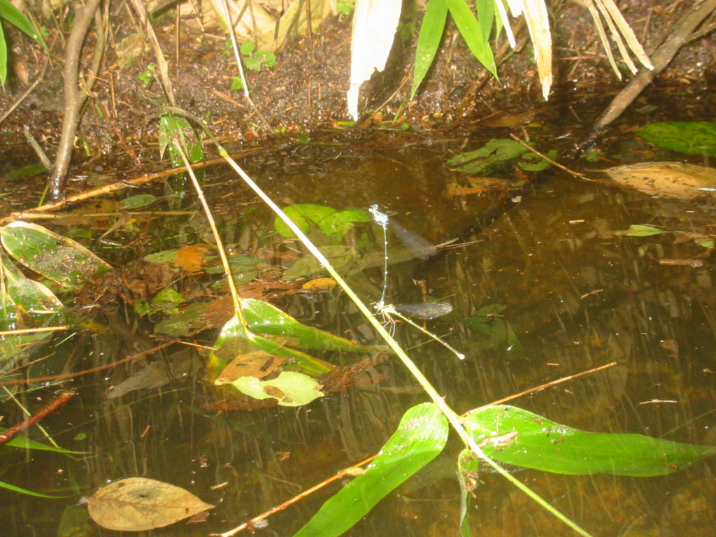 f0013998_21213536.jpg