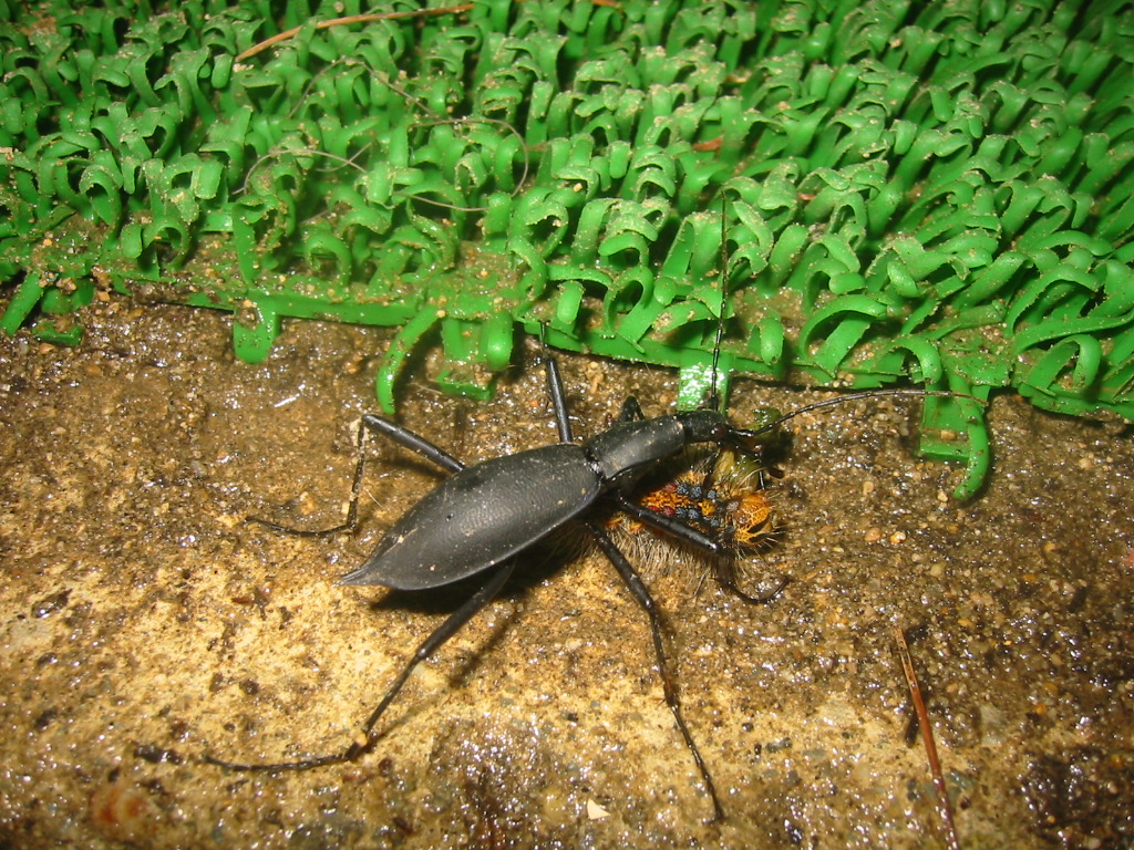 f0013998_21215195.jpg