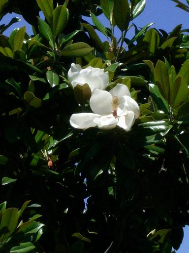 e0025300_11305753.jpg