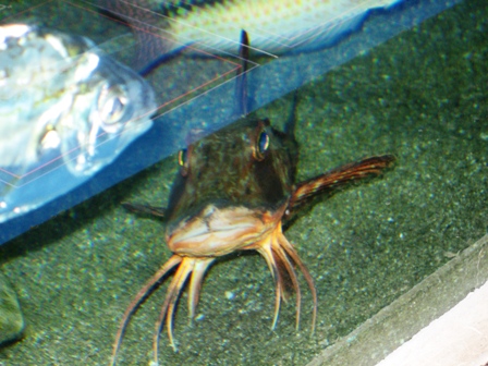 c0017505_135286.jpg