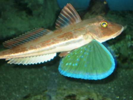 c0017505_1355770.jpg