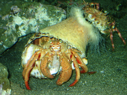 c0017505_136462.jpg