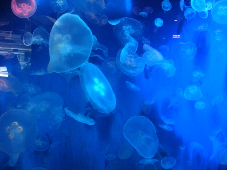 c0017505_1392997.jpg
