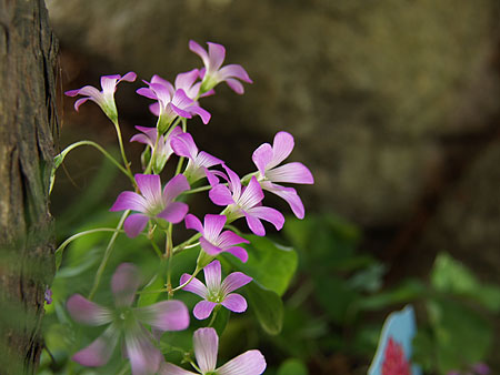a0041508_21383726.jpg