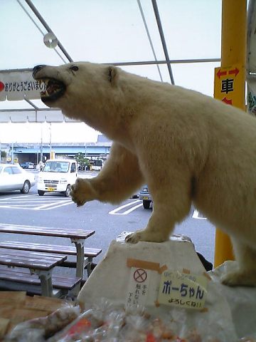 c0003217_14354213.jpg