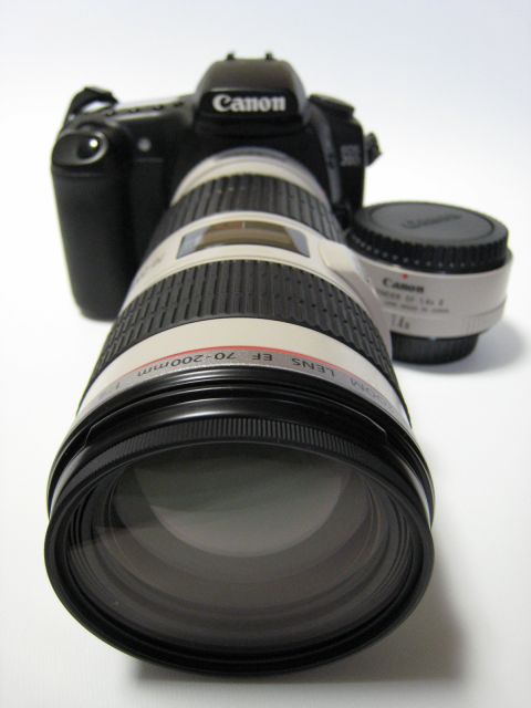 c0089419_159440.jpg