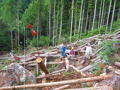 e0002820_1935191.jpg