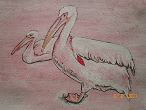 d0002224_1234051.gif
