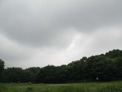 d0109728_11451512.jpg