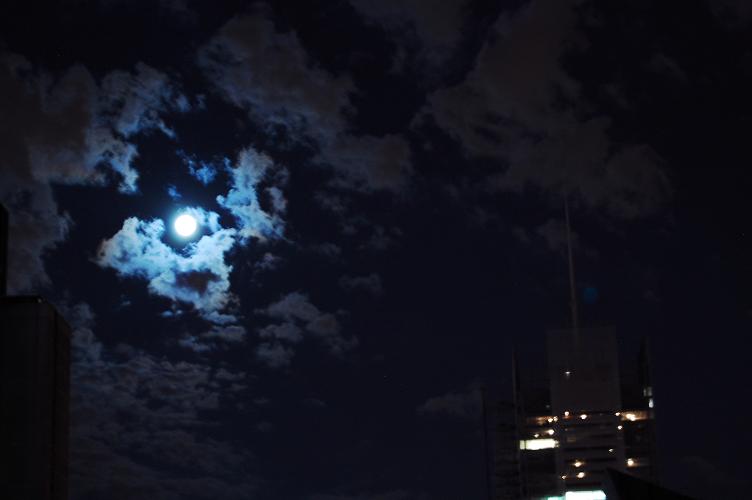 e0036628_1155928.jpg