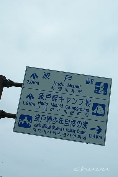 f0146531_061777.jpg