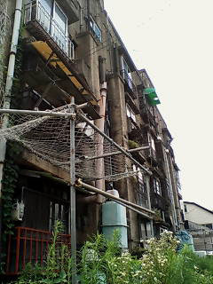 a0062133_1559261.jpg