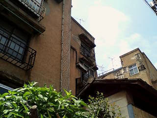 a0062133_15593436.jpg