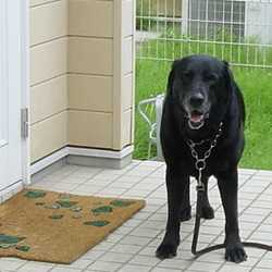 e0044635_1604049.jpg