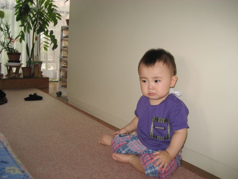 a0019637_7465059.jpg