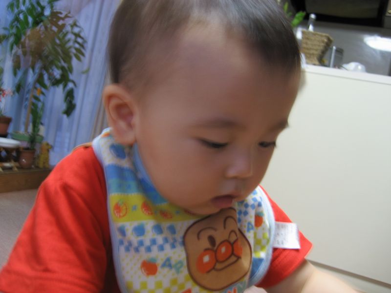 a0019637_7465940.jpg
