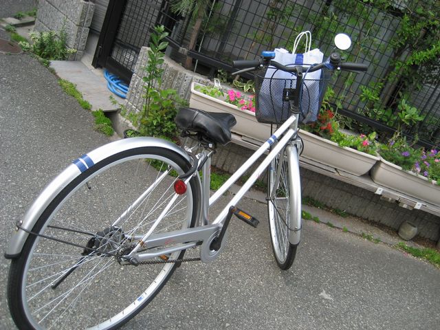 a0019637_7505128.jpg
