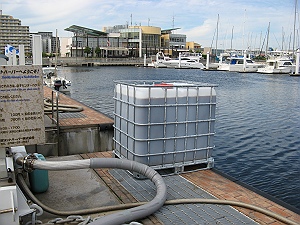 c0041039_854409.jpg