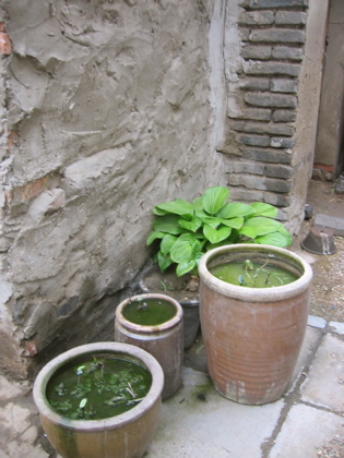 d0085939_2214571.jpg
