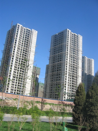 d0085939_22183959.jpg