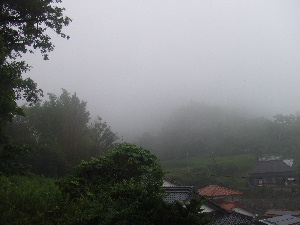 a0054240_111519.jpg