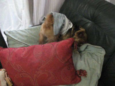 c0033145_2351237.jpg