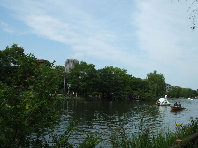 c0071545_9135976.jpg