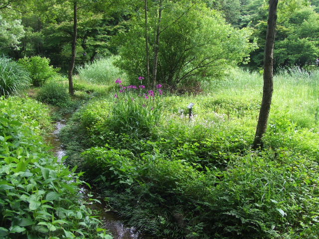 c0071545_9174052.jpg