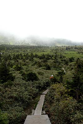 c0077847_2147454.jpg