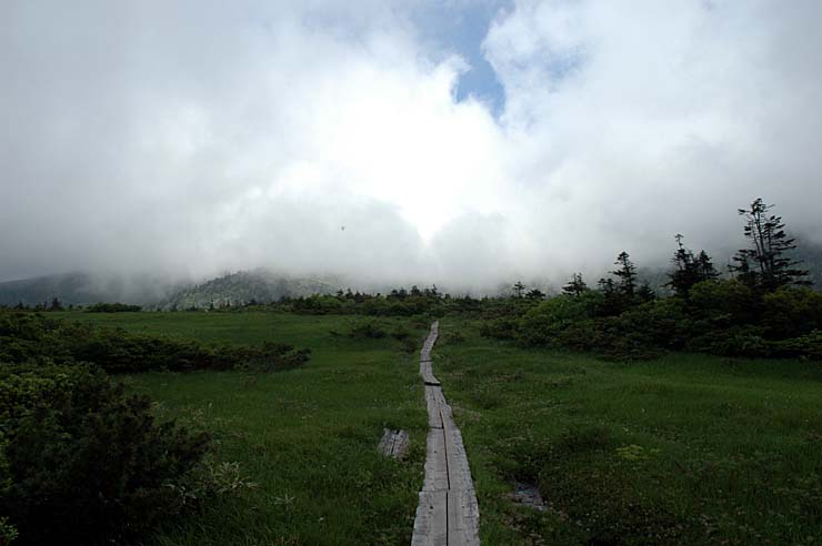 c0077847_2148493.jpg