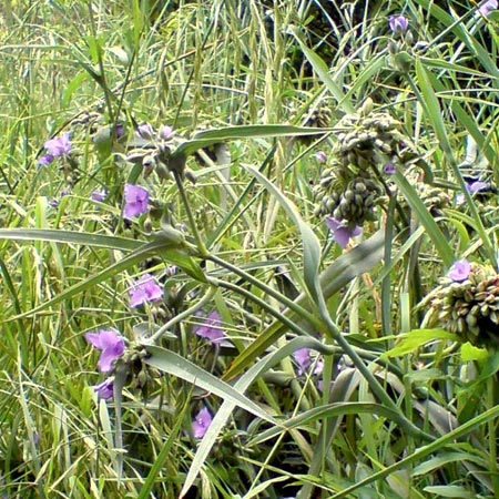 e0034047_15163036.jpg
