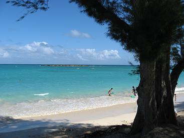 f0053847_22171840.jpg