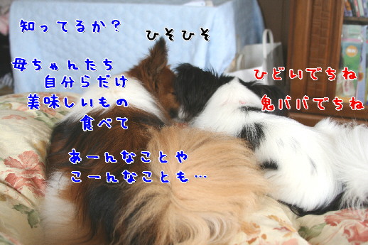 d0013149_129094.jpg