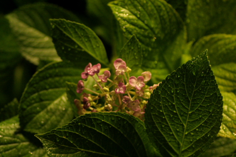 a0024250_21255293.jpg