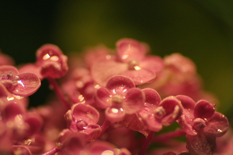 a0024250_21261357.jpg