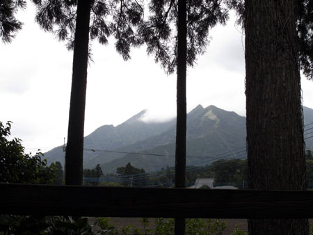 b0049152_186285.jpg