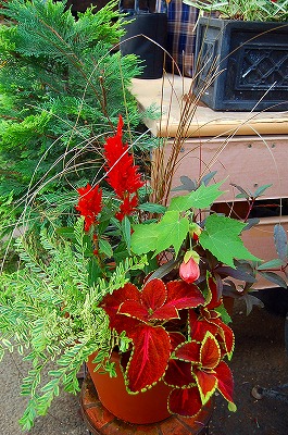 e0025655_6102237.jpg